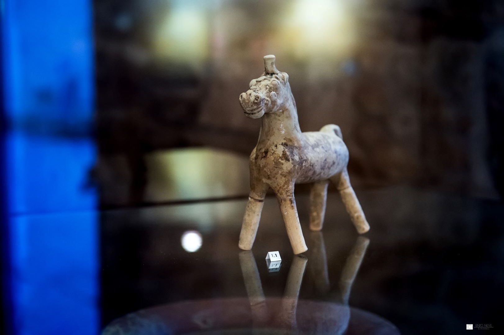 Collezione Archeologica